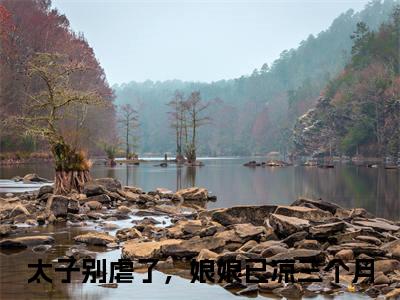 贺怀九白朝茹小说（太子别虐了，娘娘已凉三个月 ）全文免费阅读_贺怀九白朝茹小说太子别虐了，娘娘已凉三个月 小说最新章节列表笔趣阁