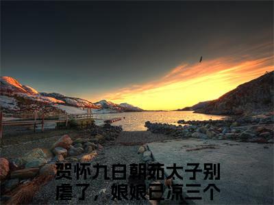 贺怀九白朝茹小说免费全本-太子别虐了，娘娘已凉三个月小说（贺怀九白朝茹完整版）免费阅读