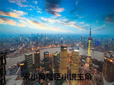 热门推荐小说（宋小苒陆臣）精彩章节阅读-宋小苒陆臣全文免费在线阅读_笔趣阁