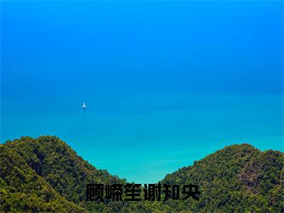 顾嵘笙谢知央（顾嵘笙谢知央）全文免费阅读无弹窗大结局_（顾嵘笙谢知央）顾嵘笙谢知央全文最新章节列表_笔趣阁（顾嵘笙谢知央）