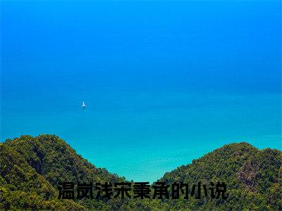 温岚浅宋秉承小说全文阅读-（温岚浅宋秉承）小说全文免费阅读无弹窗大结局