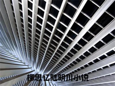 柳思忆陆明川全文免费阅读无弹窗大结局_(柳思忆陆明川免费阅读)柳思忆陆明川无弹窗最新章节列表_笔趣阁