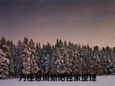 方佳慧周新阳小说全文在线赏析-2023最火热点小说最新更新