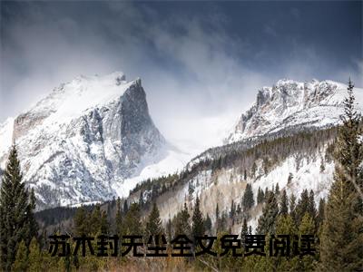 苏木封无尘甜宠小说哪里能看苏木封无尘-苏木封无尘小说阅读全集