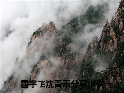 主角为霍宇飞沈青禾的小说全文完整版阅读