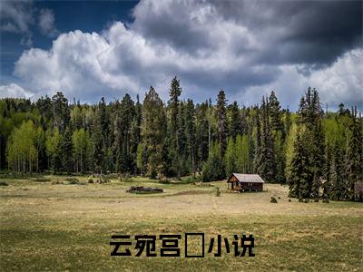 云宛宫璟是哪部小说的主角，云宛宫璟免费阅读全文大结局