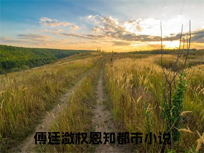 傅廷潋权恩知（傅廷潋权恩知）全文免费阅读无弹窗_（傅廷潋权恩知全文免费阅读无弹窗）傅廷潋权恩知最新章节列表_笔趣阁（傅廷潋权恩知）