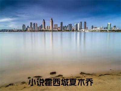 谁爱谁痛谁伤在线阅读（霍西城夏木乔）全文免费阅读无弹窗大结局_霍西城夏木乔免费最新章节列表_笔趣阁