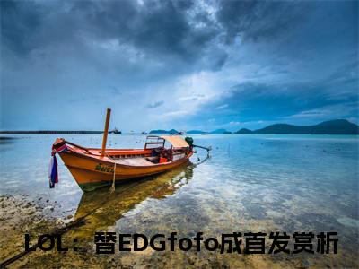 《苏晨》LOL：替EDGfofo成首发（大结局小说全集完整版）LOL：替EDGfofo成首发小说_苏晨全文阅读笔趣阁