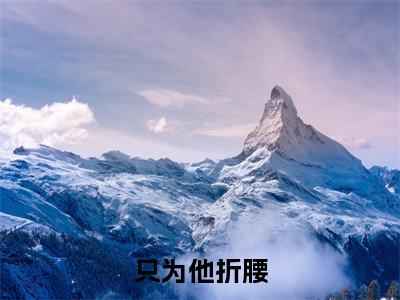 叶乔徐至深（只为他折腰）免费小说-只为他折腰全文阅读目录