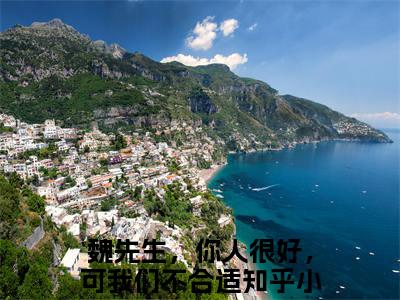 魏先生，你人很好，可我们不合适小说免费阅读全文在线阅读,许新楠魏行舟的小说在线阅读全文