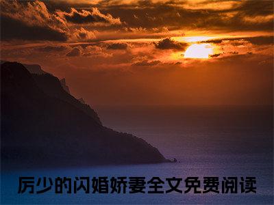 厉云霄苏糖（厉少的闪婚娇妻）全文免费阅读无弹窗大结局_（厉少的闪婚娇妻无弹窗）最新章节免费阅读_笔趣阁