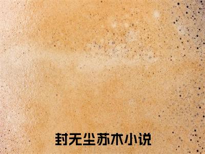 封无尘苏木小说在哪里可以看封无尘苏木在线阅读