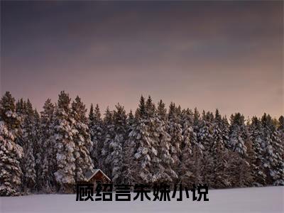 顾绍言朱姝全文免费阅读-主角为顾绍言朱姝的小说