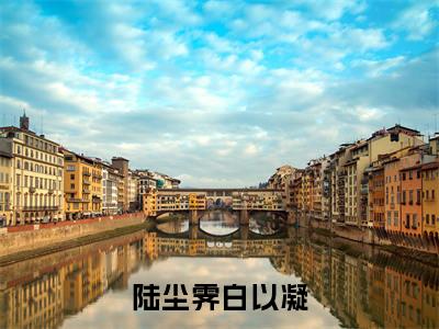 皇城一入深似海，从此萧郎...是路人（陆尘霁白以凝）免费阅读最新章节无弹窗 陆尘霁白以凝完整版小说在线阅读
