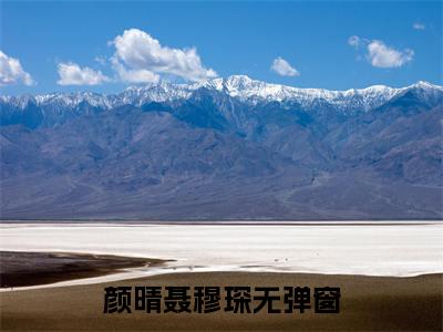 颜晴聂穆琛（聂总别脑残了，夫人真看不上你)全文免费阅读无弹窗大结局_颜晴聂穆琛全文完整无删减版免费阅读（聂总别脑残了，夫人真看不上你）