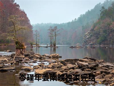 岑瑾年姜南晚小说免费下载（岑瑾年姜南晚完整全集已完结大结局小说）_岑瑾年姜南晚免费阅读