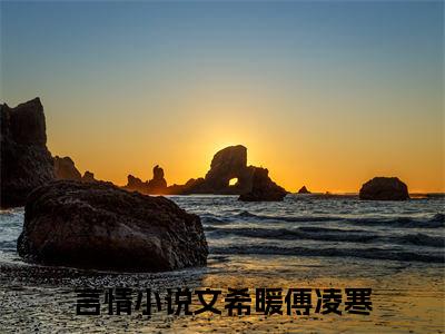 文希暖傅凌寒（文希暖傅凌寒）最新章节阅读-文希暖傅凌寒无广告在线阅读