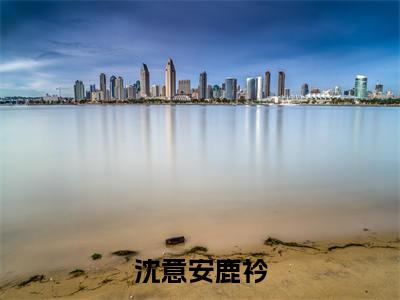 沈意安鹿衿小说最新试读_(沈意安鹿衿免费阅读最新章节列表)_笔趣阁