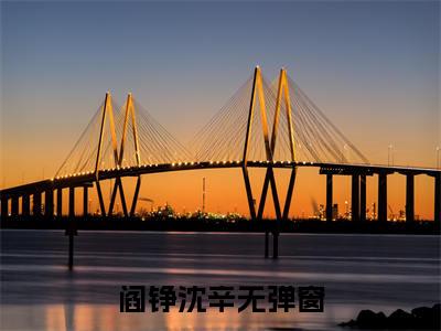 阎铮沈辛（阎铮沈辛）全文免费阅读无弹窗大结局_阎铮沈辛小说免费阅读阎铮沈辛最新章节列表_笔趣阁（阎铮沈辛）