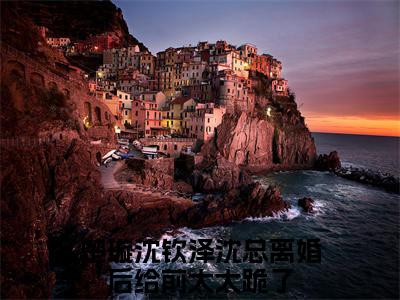 小说名字是：楚璇沈钦泽小说免费阅读无弹窗,小说名字是：沈总离婚后给前太太跪了的小说在线阅读无删减