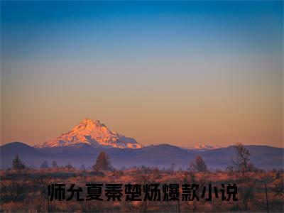 师允夏秦楚炀小说全文免费阅读-师允夏秦楚炀精选小说大结局阅读