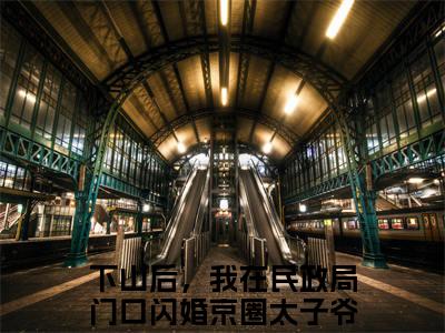 下山后，我在民政局门口闪婚京圈太子爷小说陆北秦沈初棠最新章节阅读-最新热点小说下山后，我在民政局门口闪婚京圈太子爷