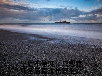皇后不争宠，只想卷死全后宫沈长安（皇后不争宠，只想卷死全后宫沈长安）免费阅读无弹窗大结局-皇后不争宠，只想卷死全后宫沈长安（最新全章节大结局）全文阅读