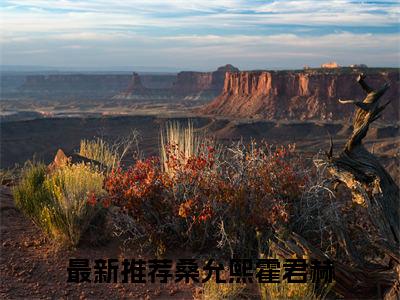 （桑允熙霍君赫）全文免费阅读无弹窗大结局_桑允熙霍君赫最新章节列表_笔趣阁
