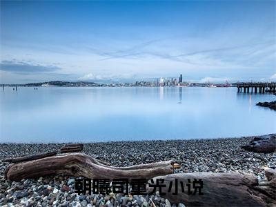 朝曦司重光（愿以神明之力为祭，只求他能重入轮回）全文免费阅读无弹窗_朝曦司重光最新小说_笔趣阁（愿以神明之力为祭，只求他能重入轮回）