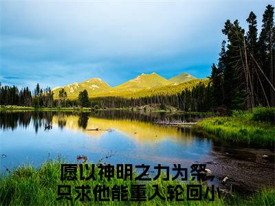 愿以神明之力为祭，只求他能重入轮回（朝曦司重光）是什么小说_主角是（愿以神明之力为祭，只求他能重入轮回）的小说（朝曦司重光）最新章节无弹窗阅读