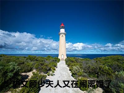 闵月西顾子年全文免费阅读无弹窗大结局_（闵月西顾子年小说）顾少夫人又在闹离婚了在线免费阅读