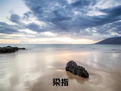 染指小说-《周衡宁枳》完整章节阅读无弹窗免费阅读大结局
