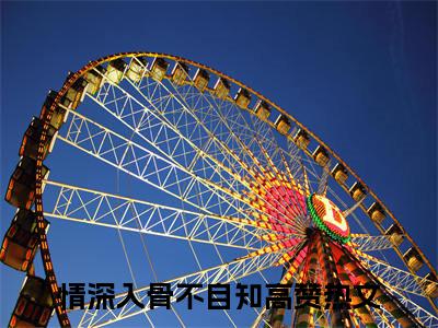 情深入骨不自知（苏漆上官懿）小说全文免费阅读正版无弹窗 苏漆上官懿全文无弹窗阅读