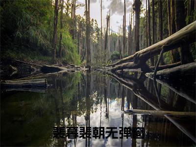 裴暮裴朝小说（裴暮裴朝）全文免费阅读无弹窗_裴暮裴朝全文免费阅读无弹窗最新章节列表笔趣阁（裴暮裴朝）