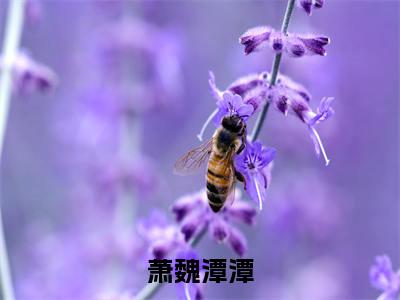 萧魏潭潭（萧魏潭潭）全文免费阅读无弹窗大结局_（萧魏潭潭）萧魏潭潭全文免费完结版阅读（萧魏潭潭）