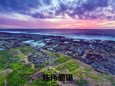 陈伟周琳(陈伟周琳)全文免费阅读无弹窗大结局_陈伟周琳(陈伟周琳小说全文大结局)全章节免费在线阅读（陈伟周琳）