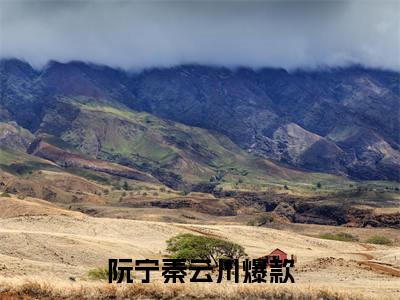 绝世医妃，穿到替嫁邪王那一夜（阮宁秦云川全文）全文免费阅读无弹窗大结局_（阮宁秦云川）绝世医妃，穿到替嫁邪王那一夜全文小说最新章节列表笔趣阁（阮宁秦云川全文）