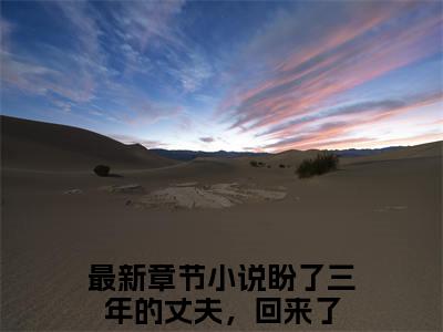 盼了三年的丈夫，回来了小说主角是（秦雨溪厉墨珩）全文完整版免费阅读最新章节列表_秦雨溪厉墨珩小说在线阅读