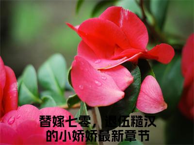 苏小小梁建安（替嫁七零，退伍糙汉的小娇娇）小说全文-苏小小梁建安小说免费阅读大结局