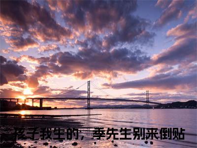 林京季黎川（孩子我生的，季先生别来倒贴）全文免费阅读无弹窗大结局_（林京季黎川）孩子我生的，季先生别来倒贴最新章节列表_笔趣阁（林京季黎川）