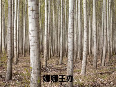 娜娜王亦小说（女配不再恋爱脑）全文免费阅读无弹窗大结局_女配不再恋爱脑小说最新章节_笔趣阁（娜娜王亦）