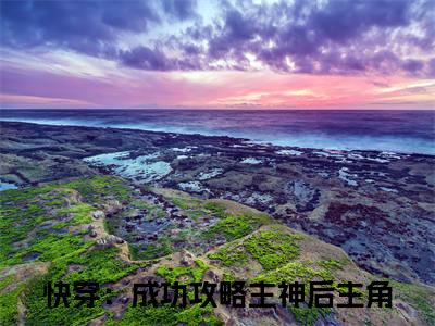 小说快穿：成功攻略主神后全文阅读-时沐墨珩小说快穿：成功攻略主神后大结局