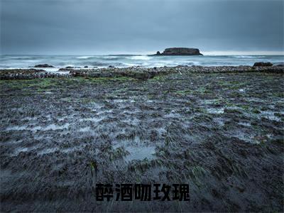 醉酒吻玫瑰抖音新上免费热文 霍乔沈昭完结免费阅读无弹窗