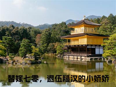 苏小小梁建安免费阅读 替嫁七零，退伍糙汉的小娇娇最新章节目录