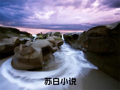 边境抗战（苏白）全文免费阅读无弹窗大结局_（边境抗战免费阅读）苏白最新章节列表_笔趣阁（苏白）