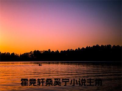 霍竞轩桑奚宁（霍竞轩桑奚宁）全文免费阅读大结局-霍竞轩桑奚宁最新章节列表免费阅读大结局