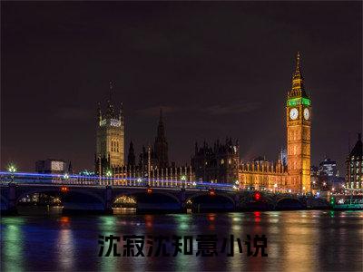 最火言情小说（沈寂沈知意）-老书虫良心推荐沈寂沈知意（沈寂沈知意）小说精彩免费试读