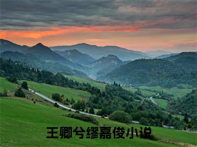 王卿兮缪嘉俊(王卿兮缪嘉俊)全文免费阅读无弹窗大结局_（王卿兮缪嘉俊）的小说最新章节列表