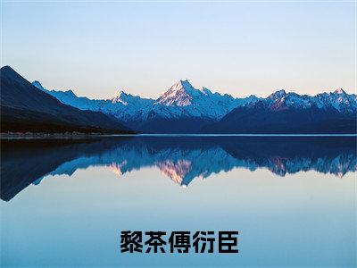 黎茶傅衍臣小说全文在线赏析-2023最火热点小说最新更新
